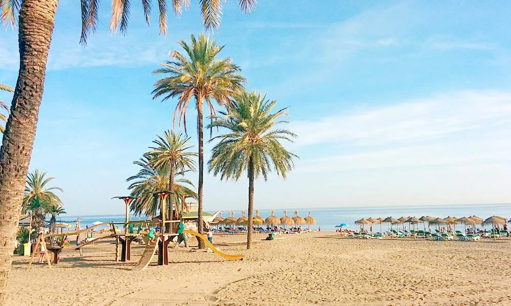 Marbella beach with palm trees
